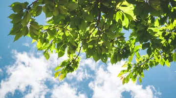 Ilustrační snímek