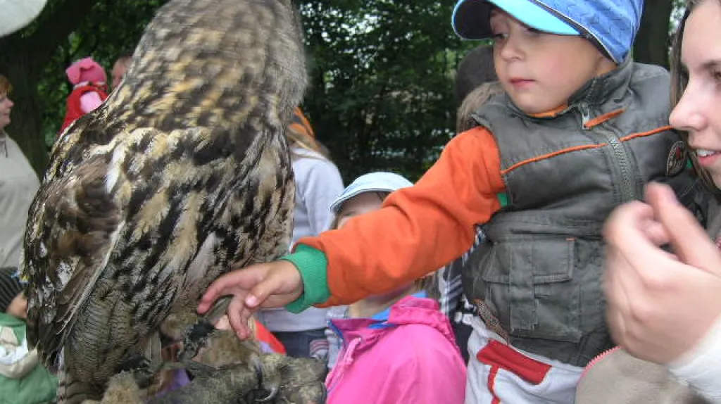 Ukázka dravých ptáků