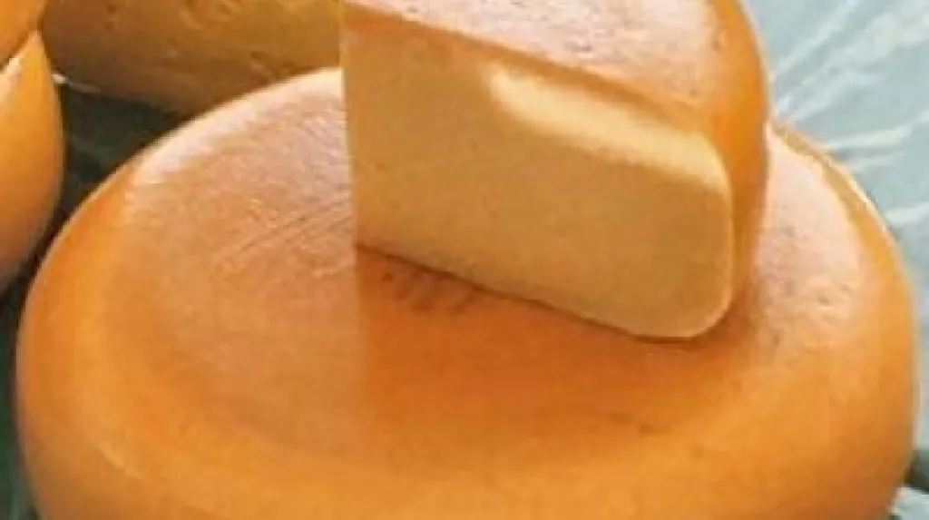 Gouda