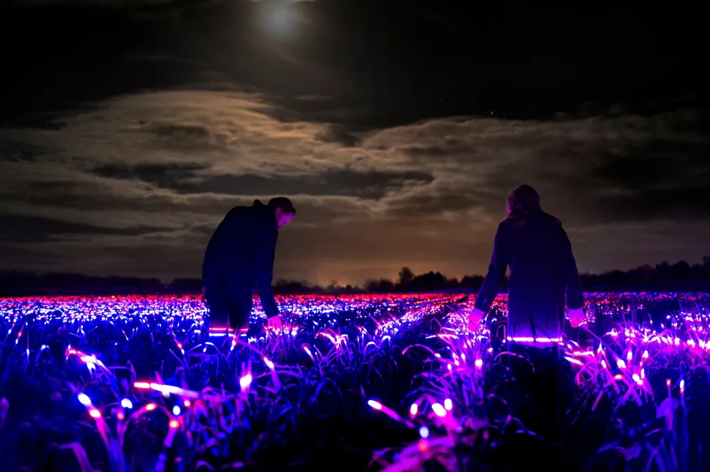 V nizozemském městě Lelystad svítilo pole díky projektu umělce Daana Roosegaardeho s názvem „Grow“. Jeho cílem bylo povzbudit a inspirovat farmáře k experimentování s LED technologií, jako doplňkem přirozeného světla pro pěstování plodin