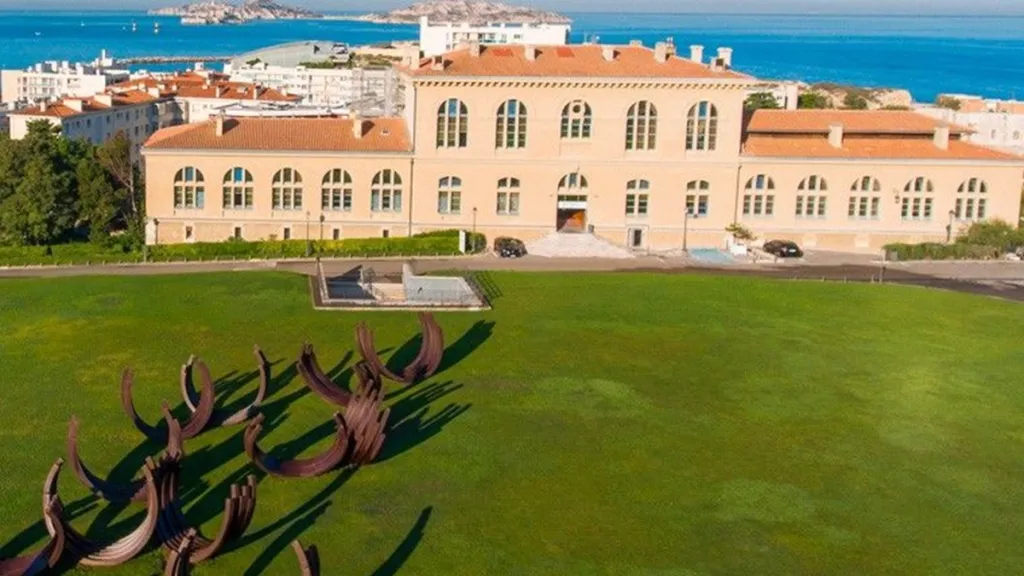 Aix Marseille University