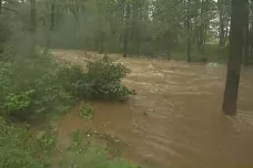 Na Plzeňsku hrozí kvůli dešti povodně. Hasiči zasahovali na pražském vršovickém nádraží