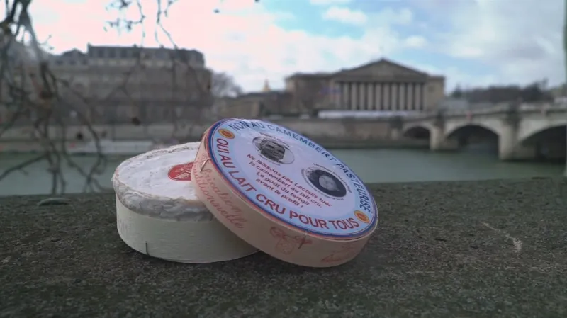 Souboj o budoucnost camembertu