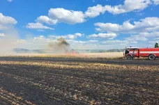 Požár na Plzeňsku zničil celé pole, hasiči ho již lokalizovali