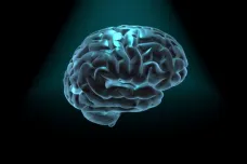 Mozek je nejsložitější strukturou ve známém vesmíru. Jeho tajemství odkrýval Hyde Park Civilizace