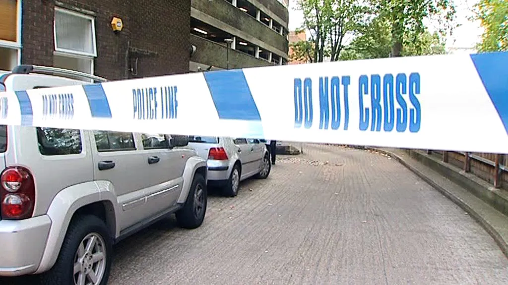 Britská policie