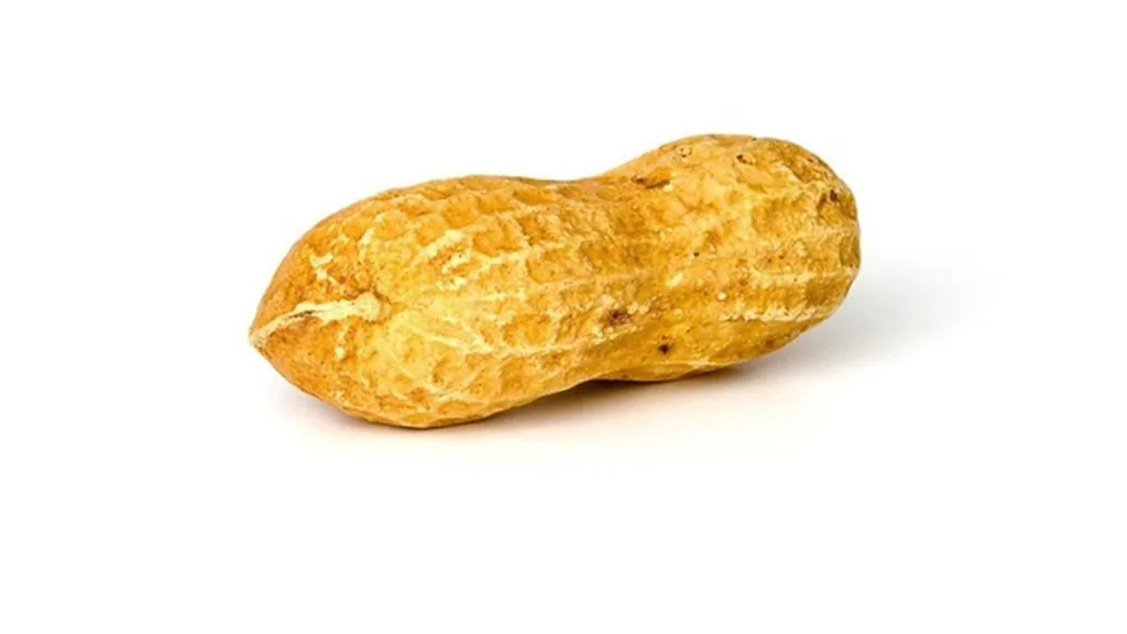 Ilustrační foto