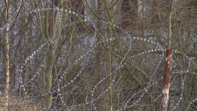 Vojenské cvičiště