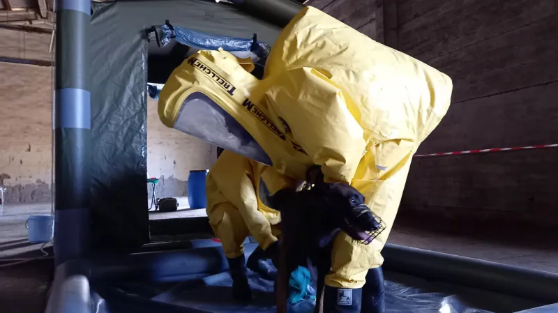 Vojáci dekontaminují psa v rámci cvičení Nákaza 2021 v Heroltovicích na Olomoucku