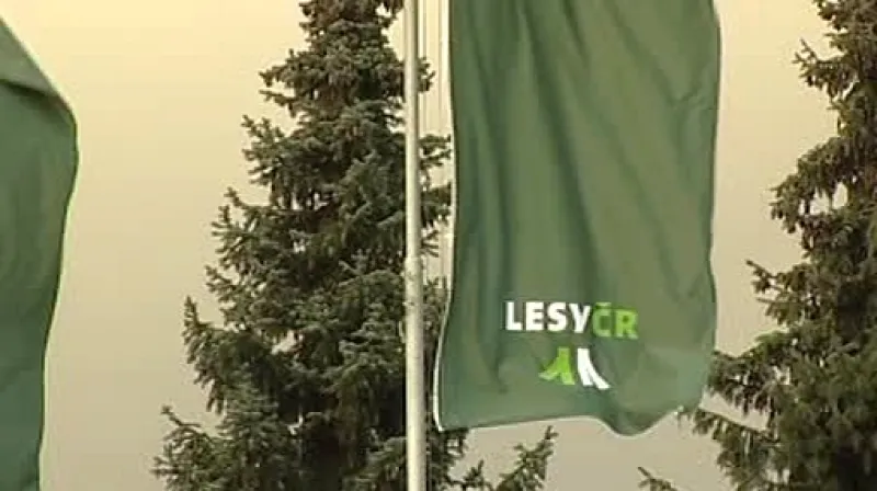 Lesy ČR
