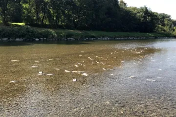 Žalobce nesouhlasí s vrácením kauzy otravy řeky Bečvy k došetření. Podal stížnost