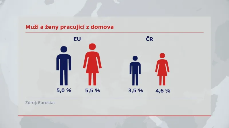 Mladé ženy pracující z domova