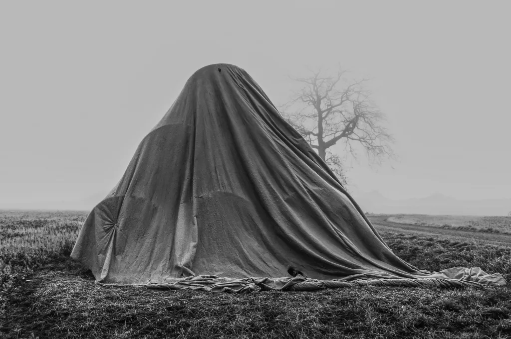 Finalista soutěže Sony World Photography Awards 2018 v kategorii Open a v tematickém okruhu Zátiší