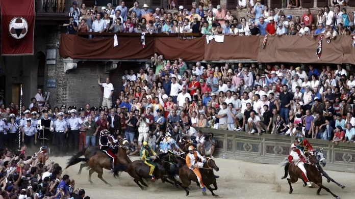 Dostihy palio