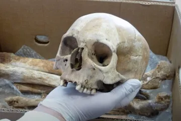 V hrobě pod svatovítskou rotundou není kníže Bořivoj. Vědci přišli na to, že ve vedlejším hrobě leží žena