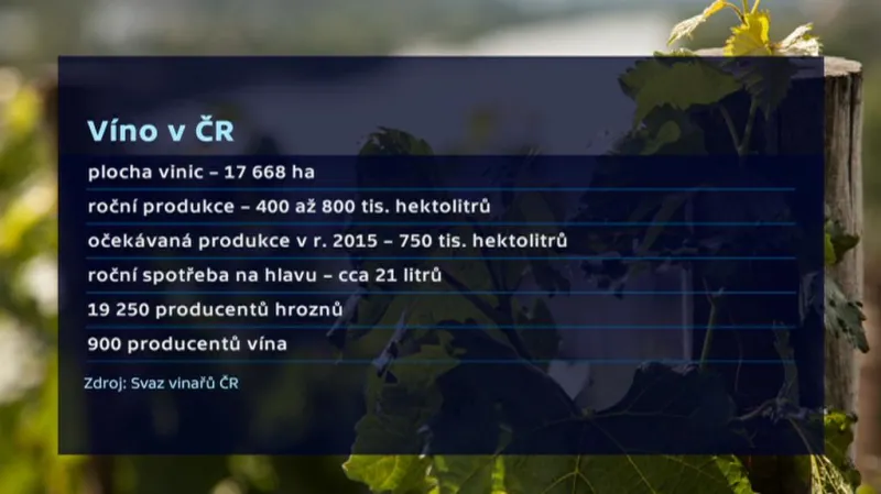 Víno v ČR