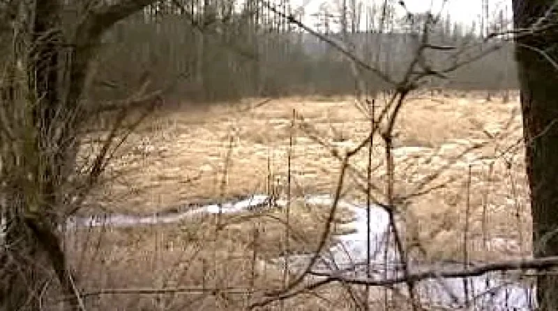 Rybník Křtí je ukryt pod nánosy bahna