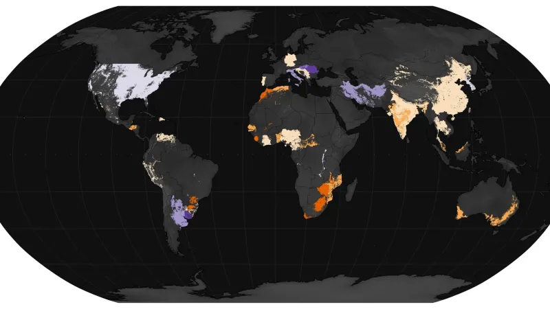 Vliv El Niña na produkci potravin