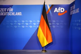 AfD žaluje kontrarozvědku kvůli označení za pravicově extremistickou stranu