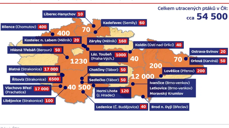 Ptačí chřipka v krajích – počty utracených ptáků