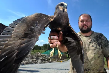 Záchranné stanice se snaží navzdory zdražování a covidu udržet provoz. Zvířat mají více