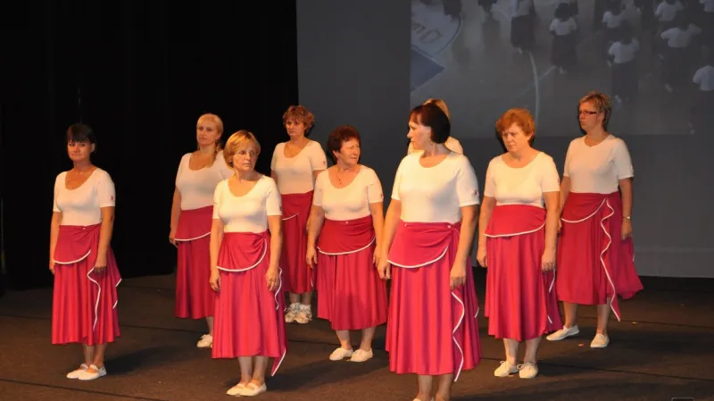 Sokolská akademie v Lounech