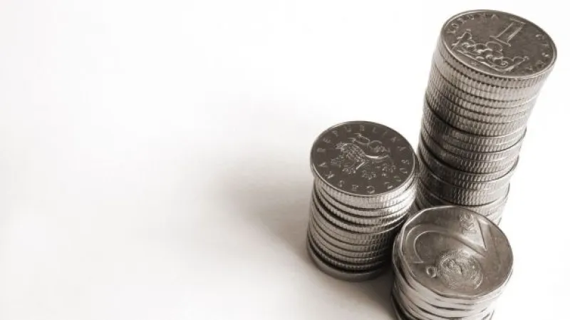 Ekonom Janíčko vidí na ministerstvu zemědělství rezervy