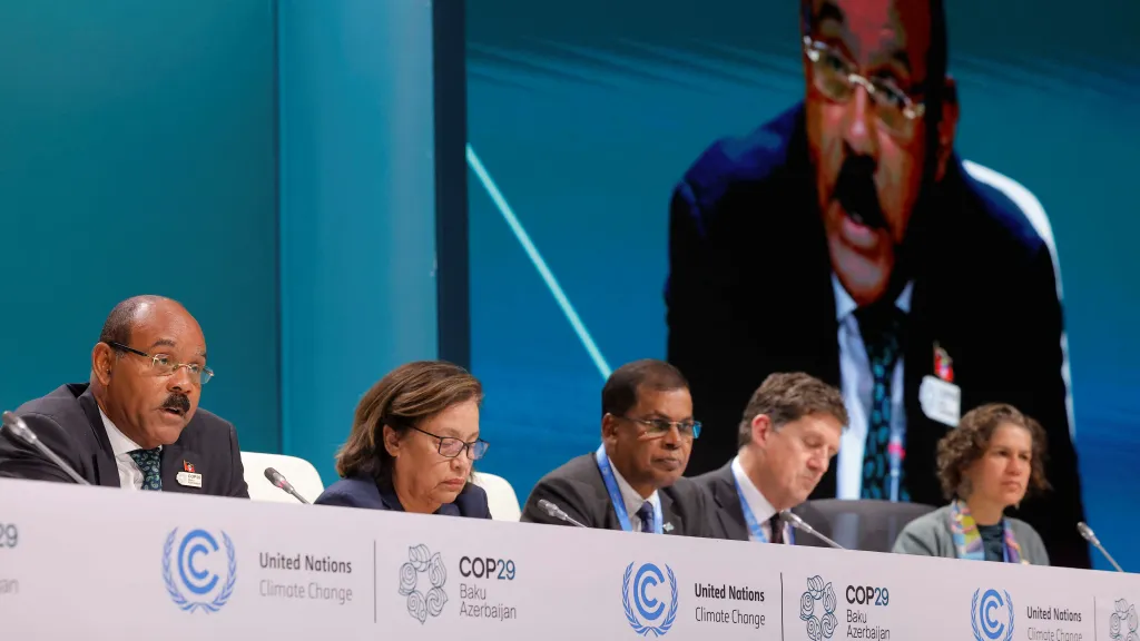 COP29