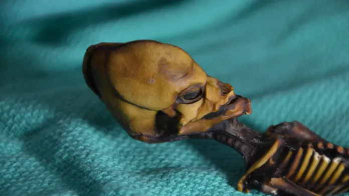 Podivná mumie z La Noria