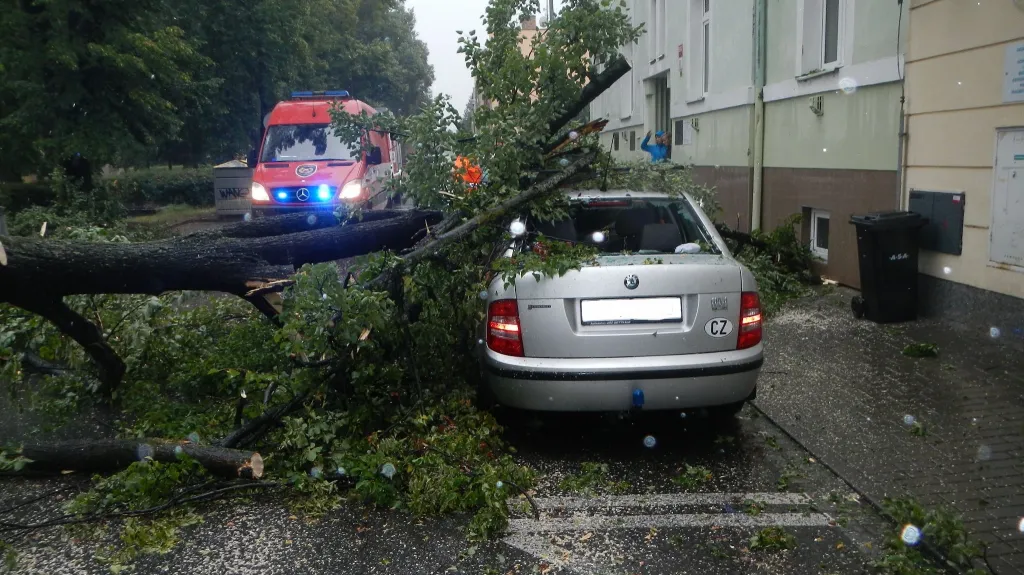 V Českých Budějovicích spadl strom na zaparkované auto
