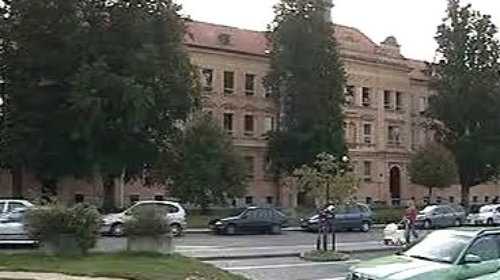 Stromy před školou
