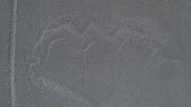 Had požírající člověka na planině Nazca