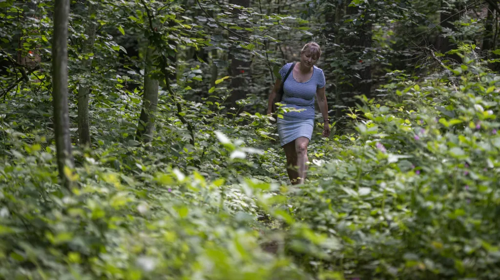 Archeoložka Martina Beková (na snímku) tvrdí, že jde v Česku o dosud nepoznaný objev