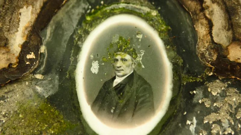 Olšanské hřbitovy