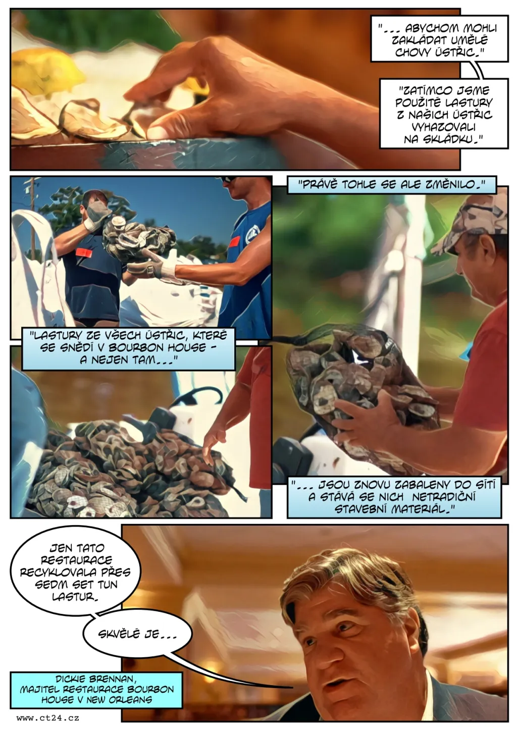 Ústřice chrání pobřeží