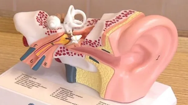 Díky novému typu implantátu začalo neslyšící dítě slyšet