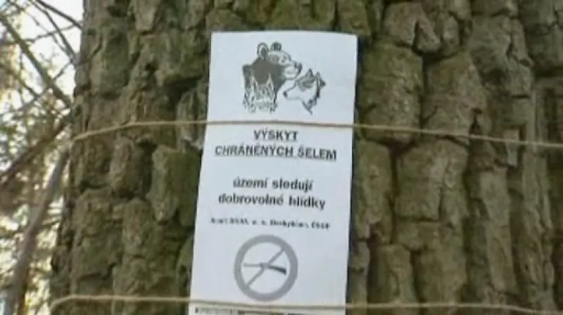 Označení Hnutí DUHA