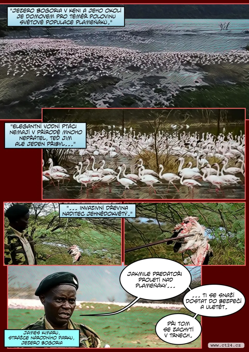 Nové nebezpečí pro plameňáky