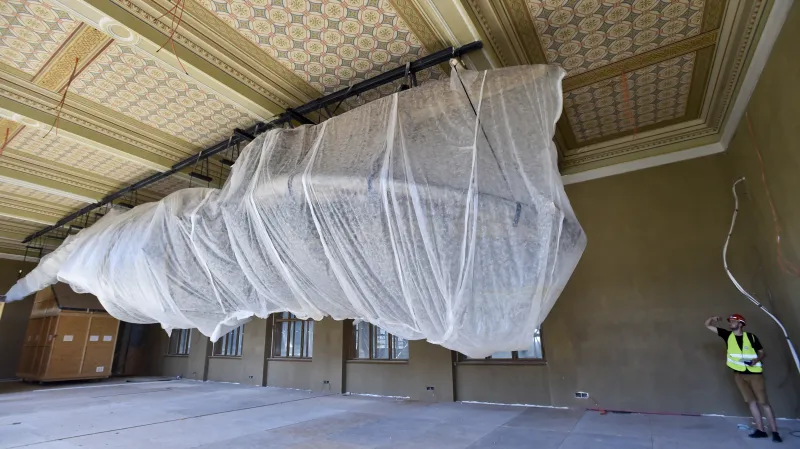 Kostra plejtváka myšoka během generální rekontrukce Národního muzea