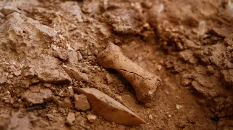 Nové nálezy z vykopávek projektu Atapuerca