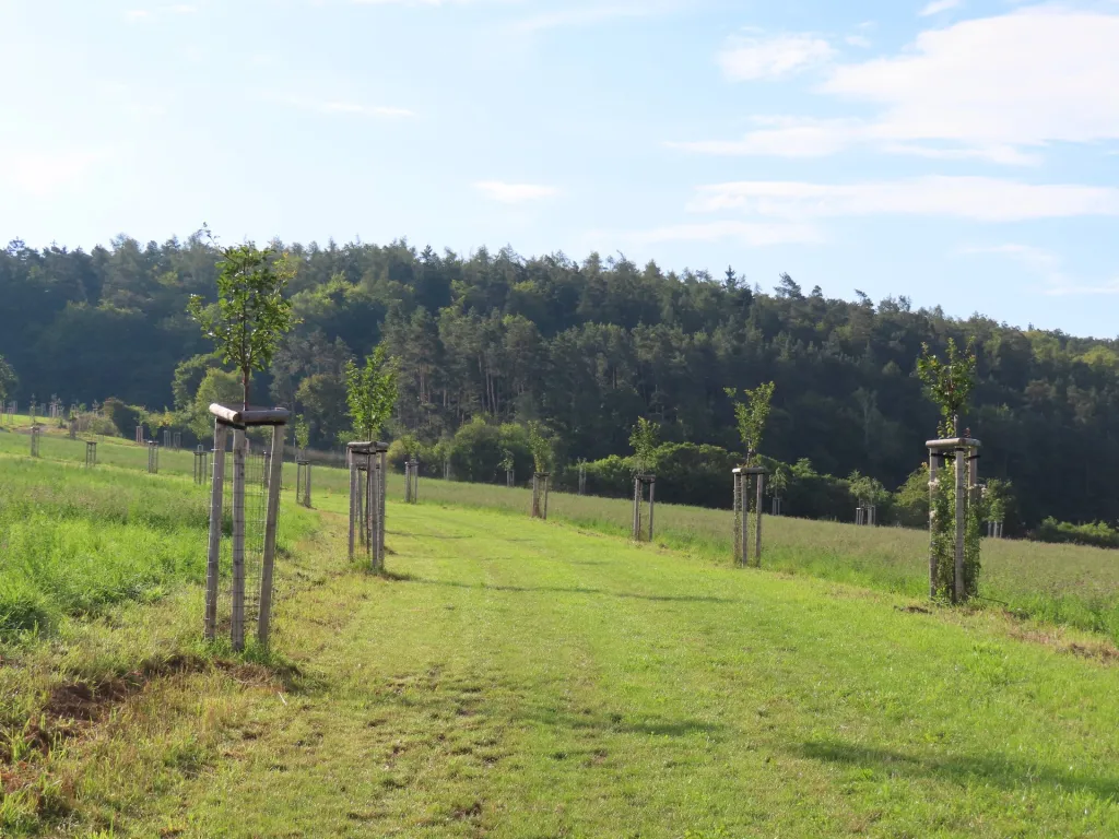 Čestné uznání poroty: Vohančice – Komplex protierozních opatření a krajinářských úprav