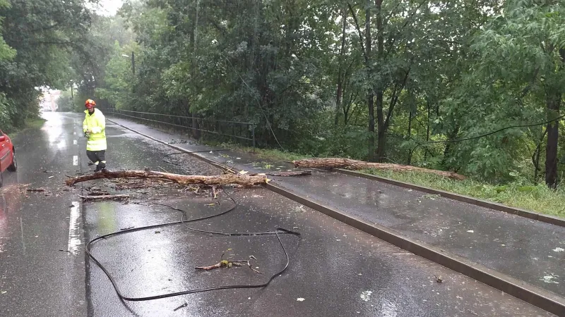 Hasiče zaměstnávaly silné bouřky, vichr na jihu Moravy lámal stromy