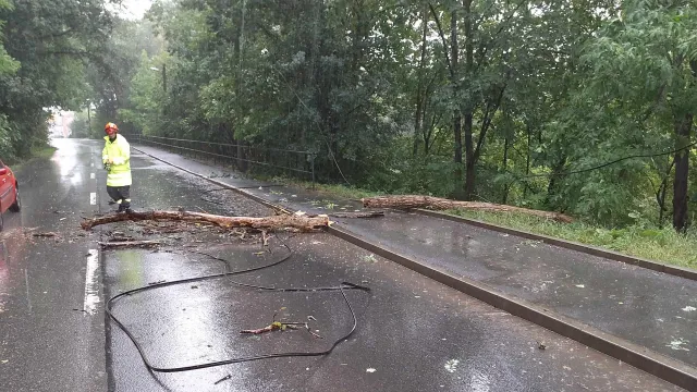 Hasiče zaměstnávaly silné bouřky, vichr na jihu Moravy lámal stromy