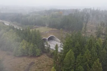 Zvířata v Česku složitě migrují