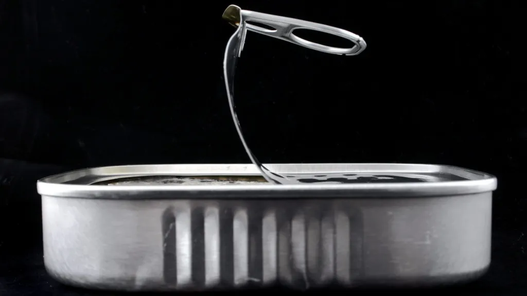 Konzerva se sardinkami