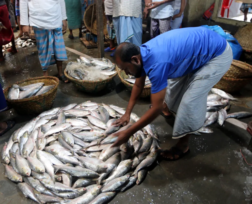 Obchodníci na rybím trhu ve městě Chandpur v Bangladéši se snaží prodat ryby, o které není zájem z důvodu vysoké ceny