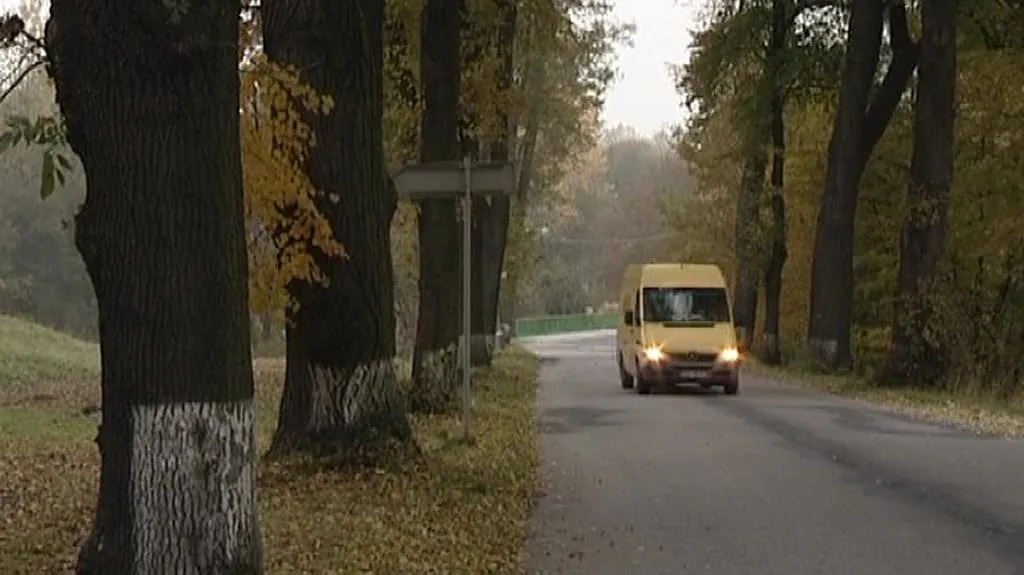 Lipová alej ve Velešíně
