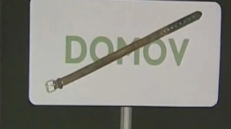 Domácí násilí