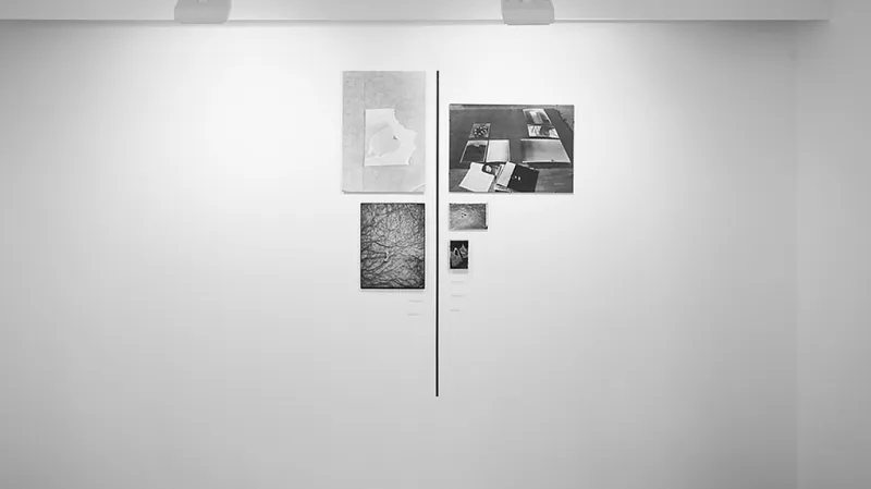 Sudek / Svoboda - Komparace II