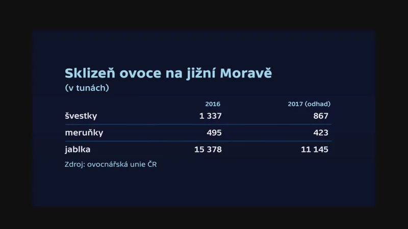 Sklizeň ovoce na jižní Moravě